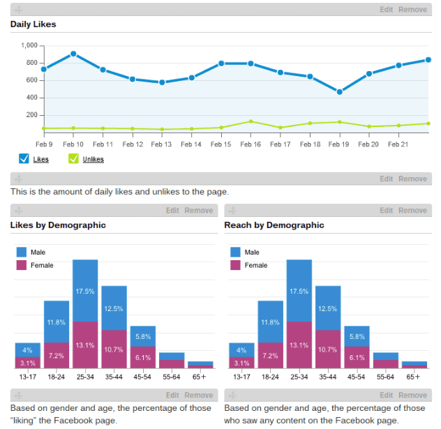 Hootsuite Social Media Marketing Analytics Report