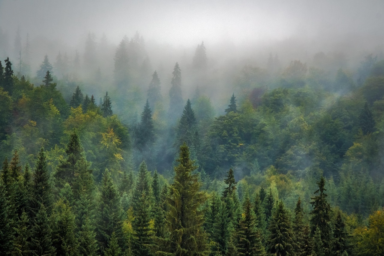 The Importance of Evergreen Content for Digital Marketing Success