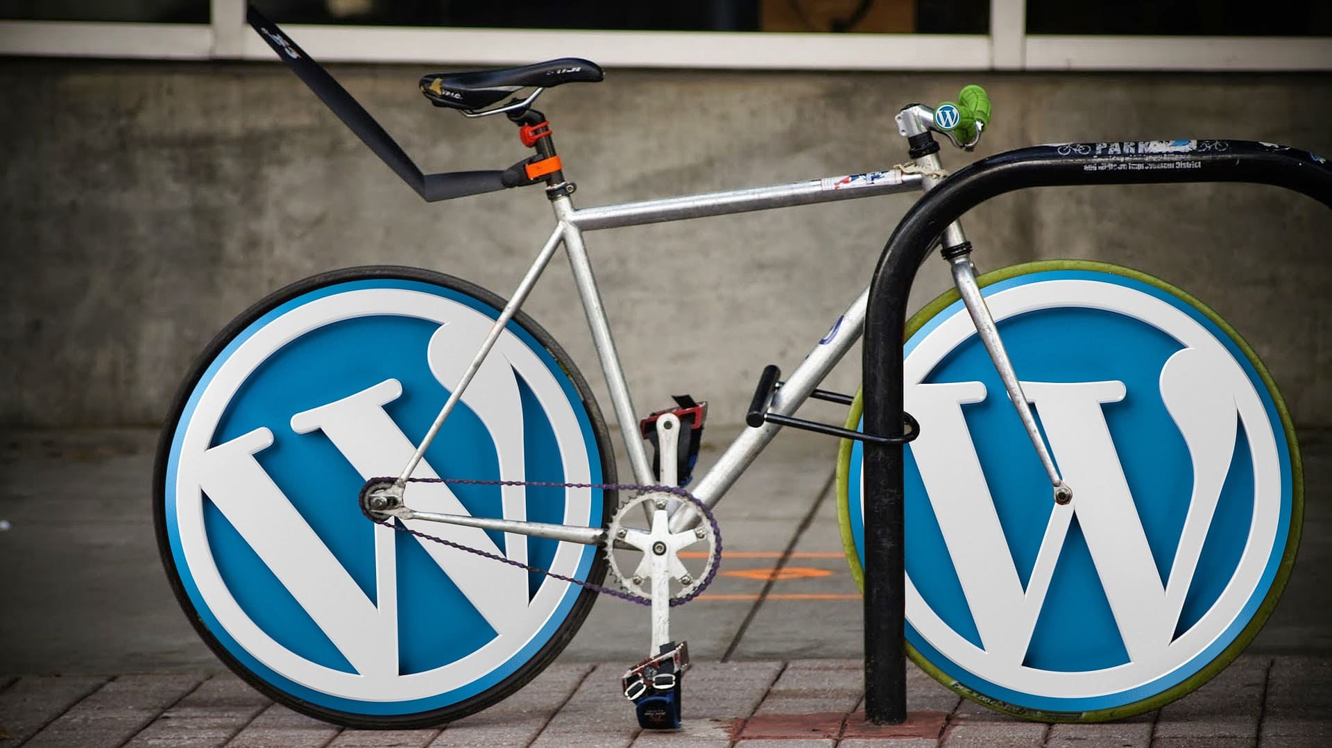 WordPress SEO: What You Need to Know?